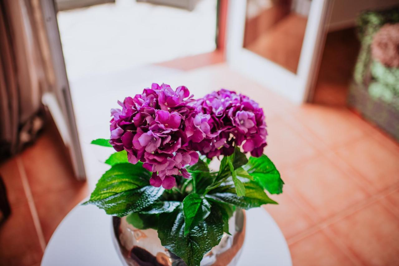 Villa Amore Accommodation ポール・ド・マール エクステリア 写真